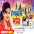 Hey Veenawali Maiya Teri Jaykaar karu Mp3 Song