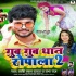 Gub Gub Dhaan Ropala 2 MP3 Song